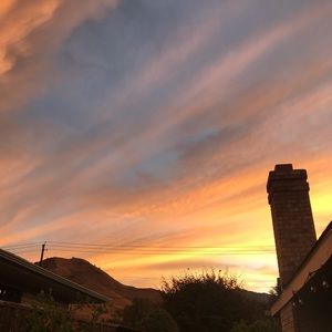 Meet your Posher, Sienna